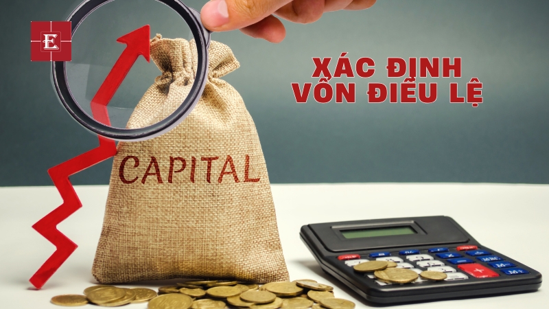 Xác định vốn điều lệ tổng số vốn do các thành viên/cổ đông cam kết góp