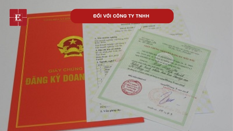 Hồ sơ công ty TNHH cần có điều lệ và thông tin đầy đủ của các thành viên góp vốn.