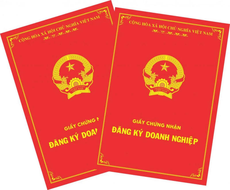 Giấy chứng nhận đăng ký doanh nghiệp có thể bị thu hồi