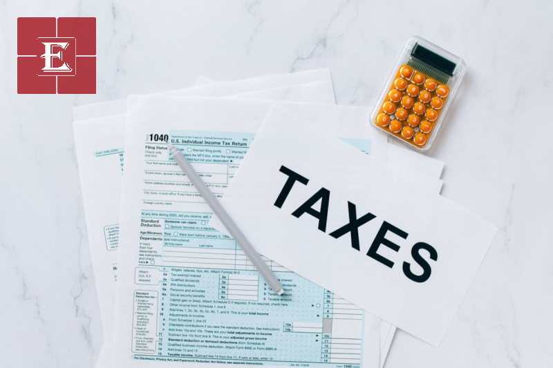 lợi nhuận của chủ công ty TNHH một thành viên